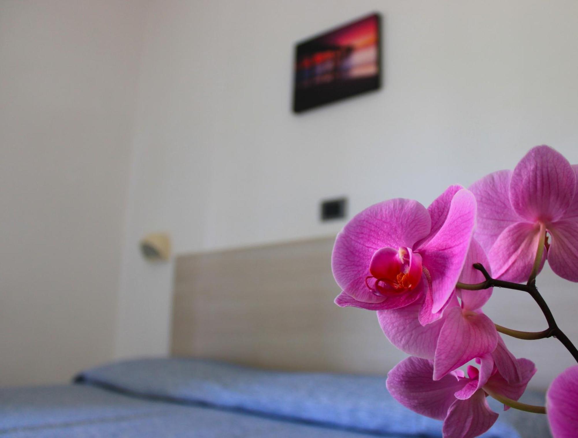 Hotel Puccinelli Лидо Ди Камайоре Екстериор снимка