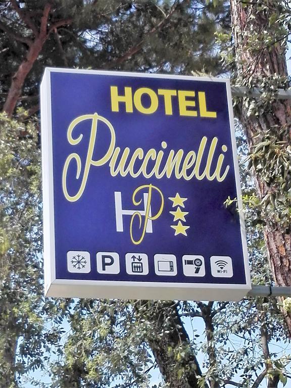 Hotel Puccinelli Лидо Ди Камайоре Екстериор снимка