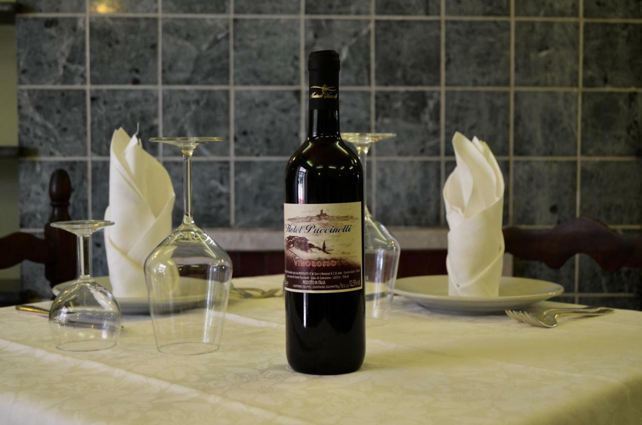 Hotel Puccinelli Лидо Ди Камайоре Екстериор снимка